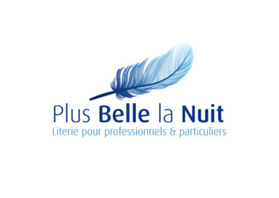 Plus belle la nuit